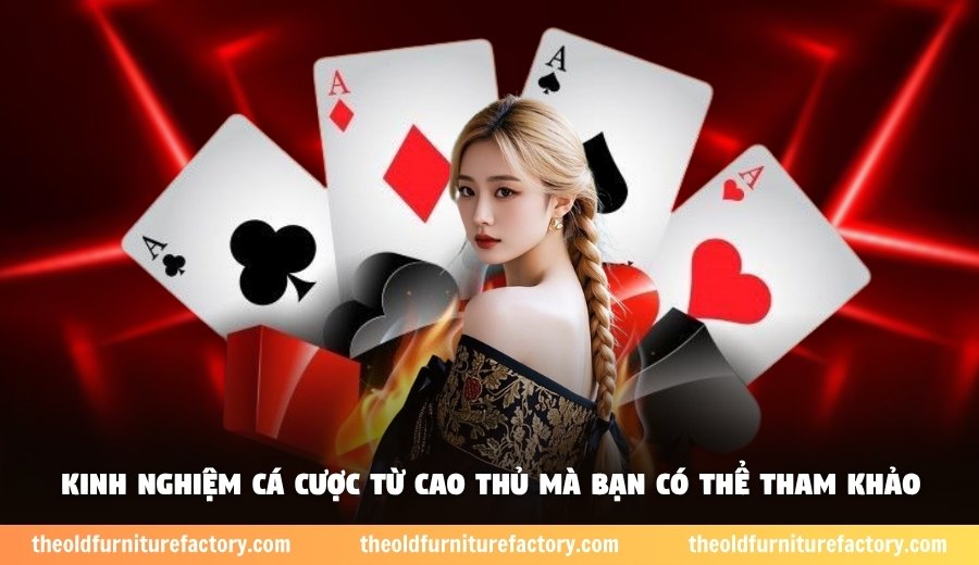 Kinh nghiệm cá cược từ cao thủ mà bạn có thể tham khảo